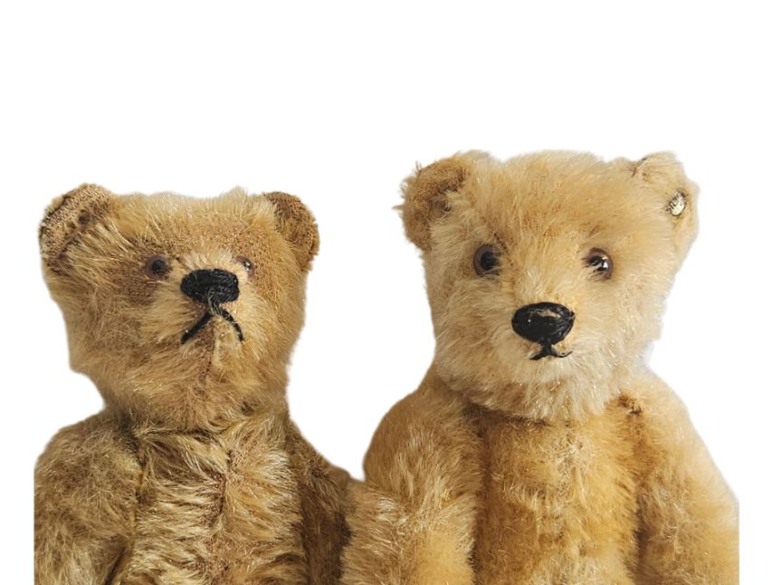 Pair of antique Steiff - Teddy Bears / Original Teddy Bears Pair of antique Steiff - Teddy Bears / Original Teddy Bears